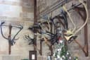 Abbots Bromley Horn Dance
