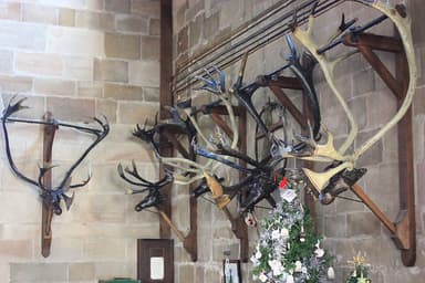 Abbots Bromley Horn Dance