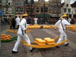 Alkmaar Kaasmarkt
