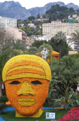 Fête du Citron