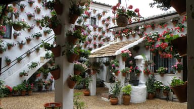 Festival de los Patios